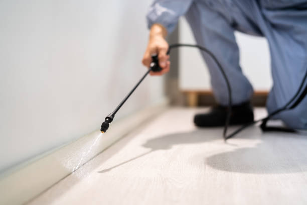 Bed Bug Pre-Treatment Preparation Assessment in Arma
