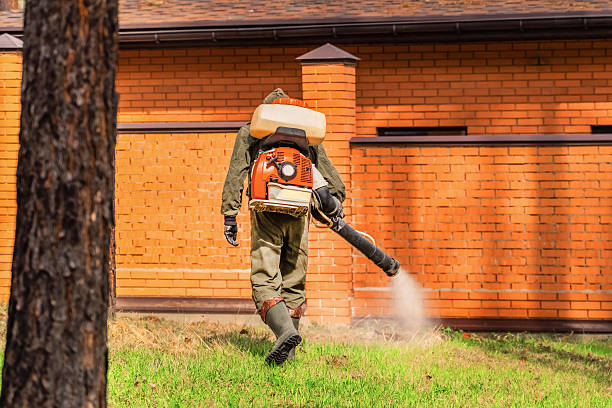 Bed Bug Clearance Verification and Documentation in Arma